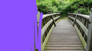 Healthcare Operations & Practice Management Blog | Integral Clinic Solutions 4 Transitioning Patients from a Retiring Provider's Practice