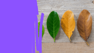 Healthcare Operations & Practice Management Blog | Integral Clinic Solutions 6 Important Healthcare Changes